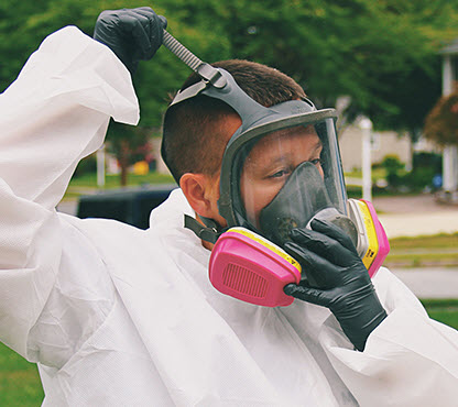 mold remediation services